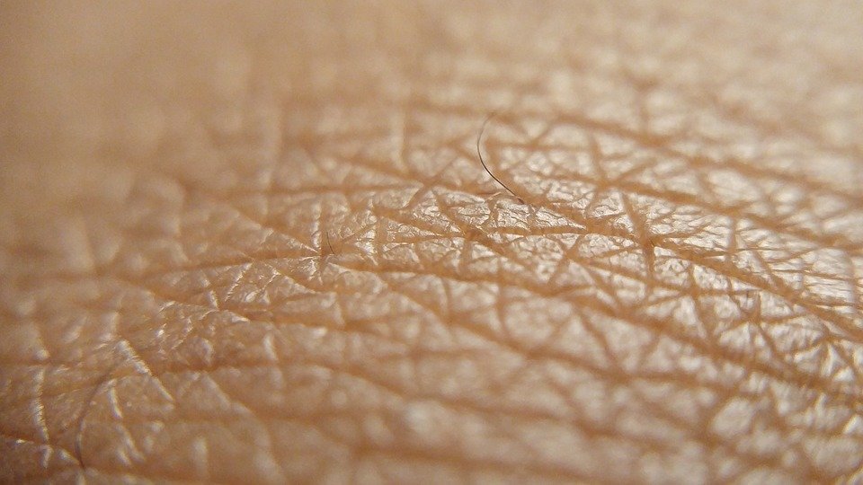 skin-2016480_960_720