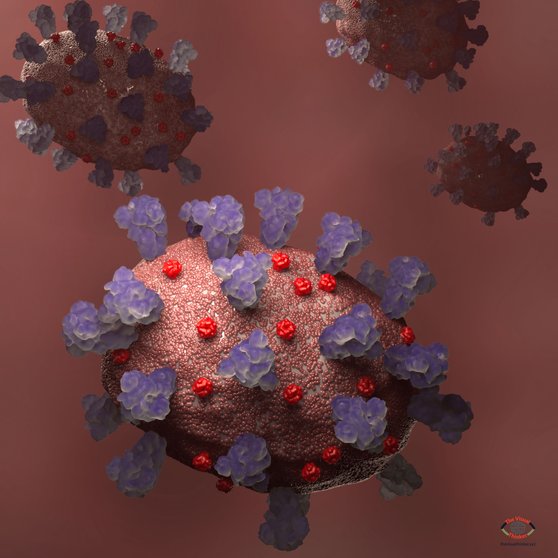 coronavirus