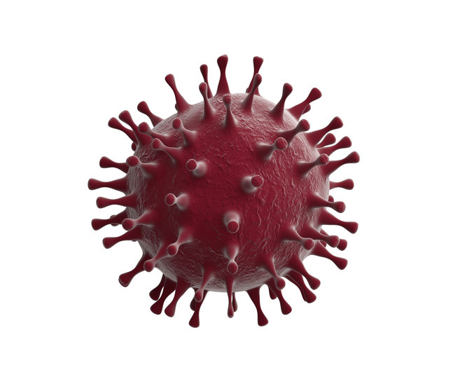 coronavirus roja