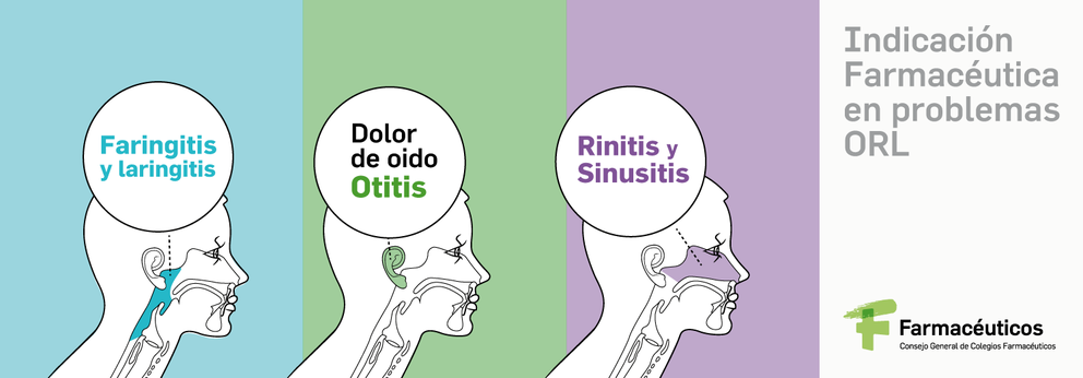 01_formacion_rinitis