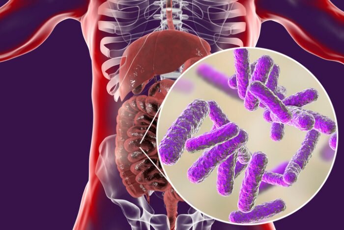 microbioma-intestinal