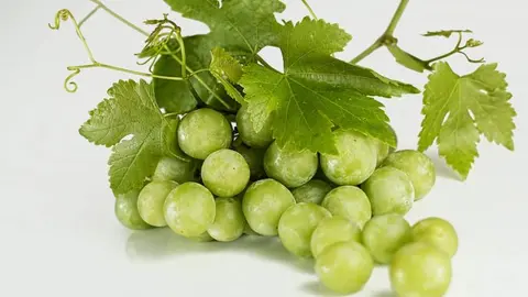 uvas
