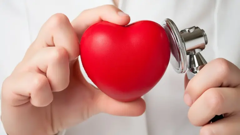 corazon online (002)